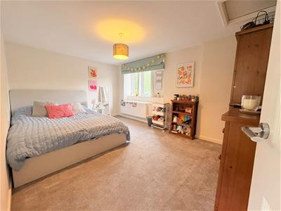 Picture 19